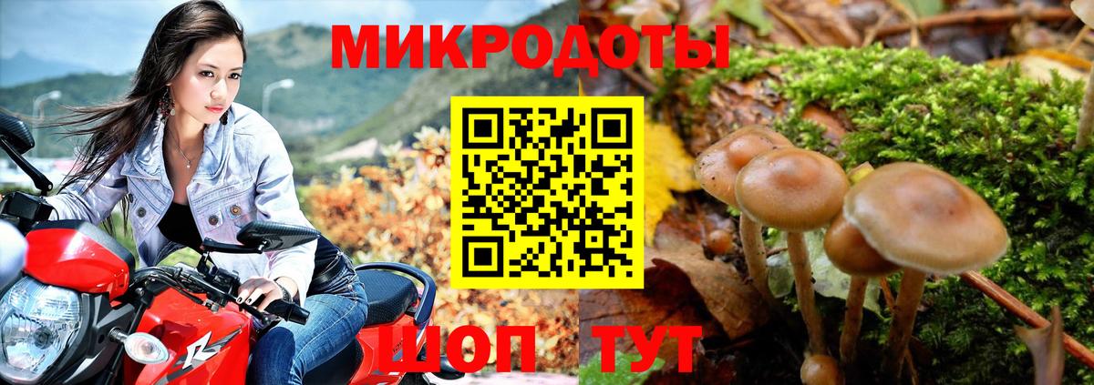 Галлюциногенные грибы Psilocybe  Вход с VPN  Заринск  Галлюциногенные грибы Cubensis 