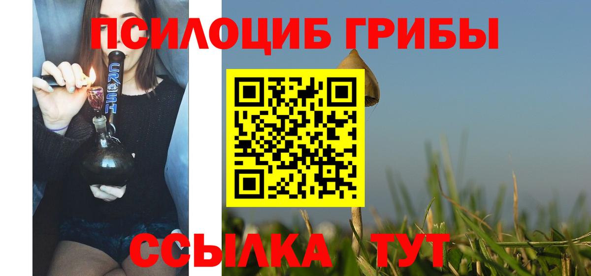 Галлюциногенные грибы Cubensis Заринск