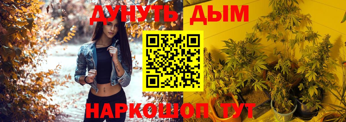 Конопля тримм  Шишки марихуана AK-47  Вход с VPN  Марихуана Ganja  Заринск 